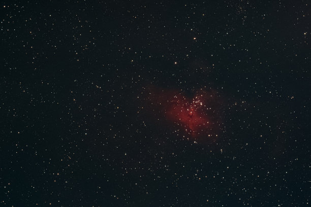 m16