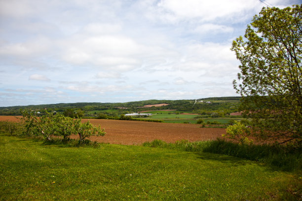 scotia