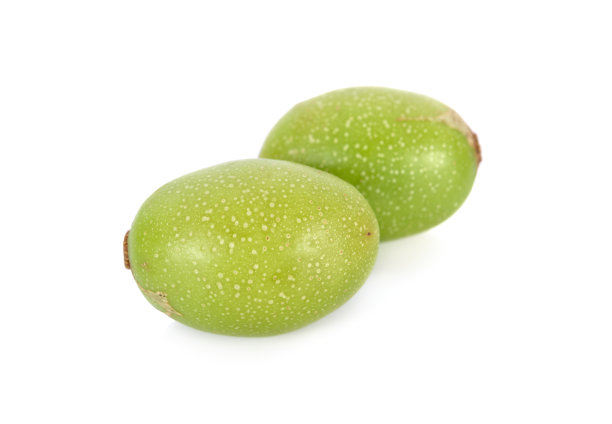 spondias