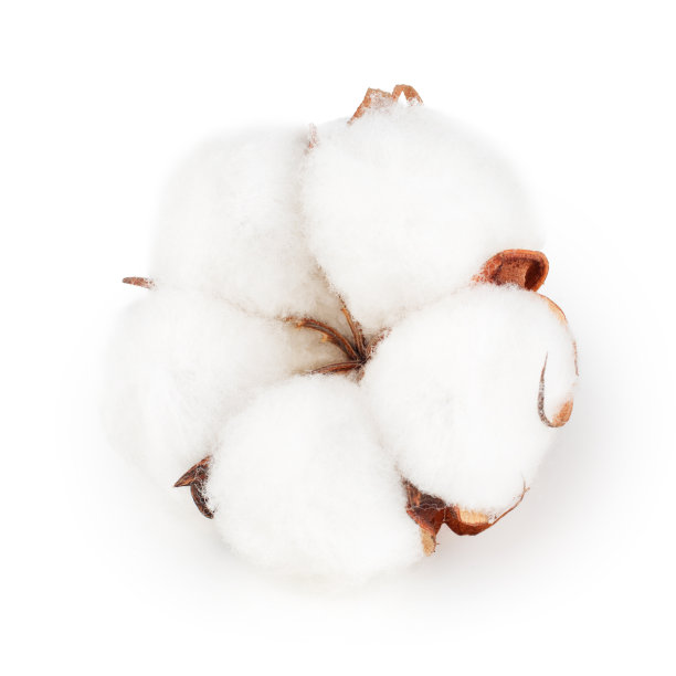 cotton