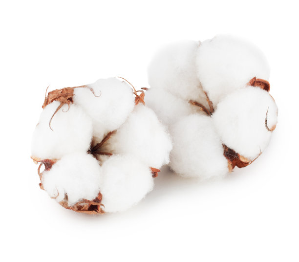 cotton