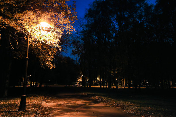 园林道路夜色