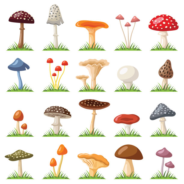 toadstool