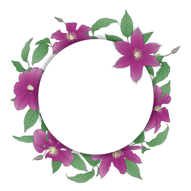 精美紫色绿色圆形花纹图案