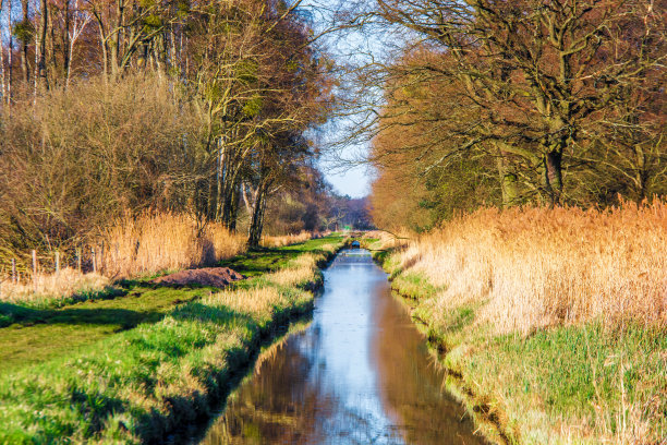 irrigation