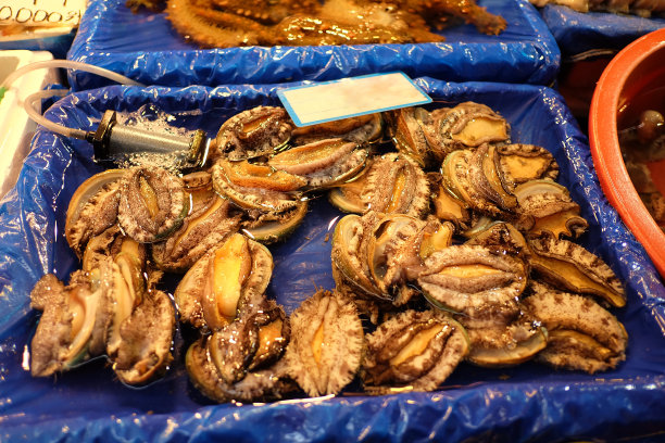 abalone