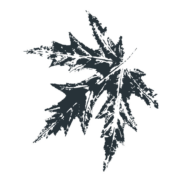 书籍封面包装印刷标签