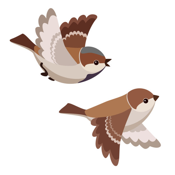 passeridae