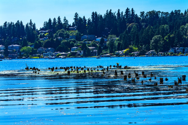 kirkland
