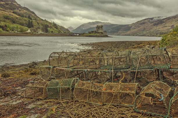 donan