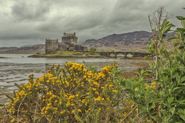 donan