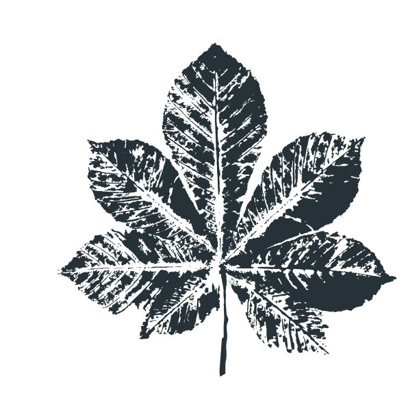 书籍封面包装印刷标签