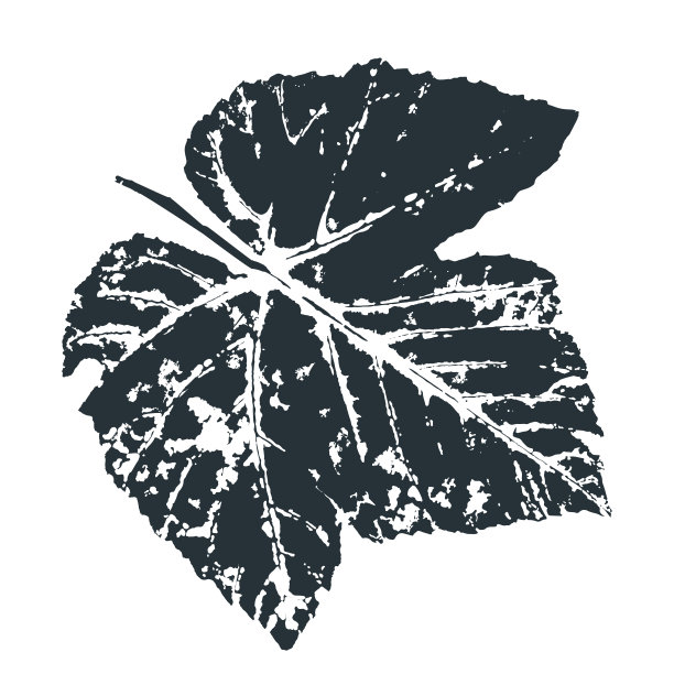 书籍封面包装印刷标签