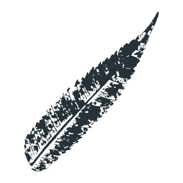 书籍封面包装印刷标签