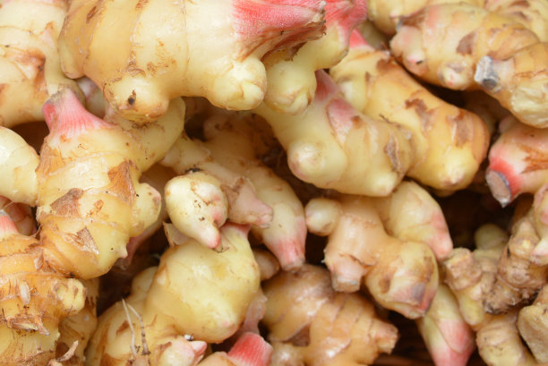 ginger