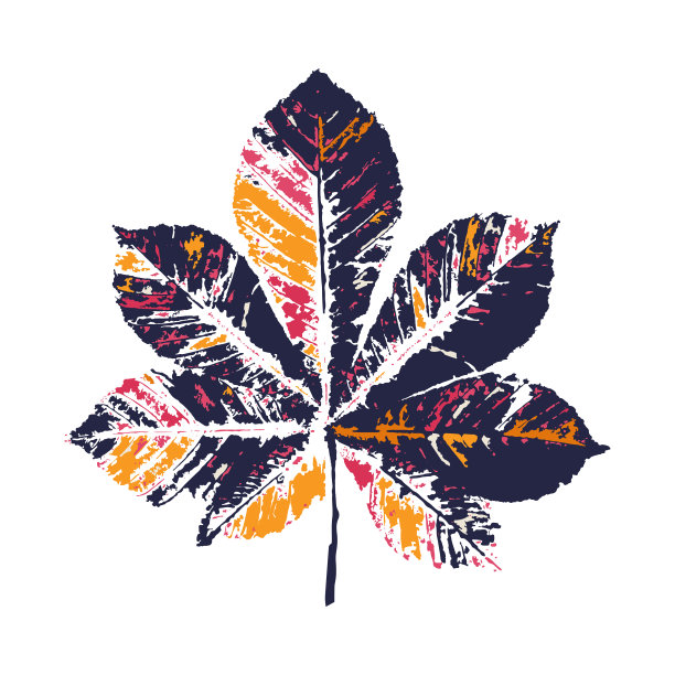 书籍封面包装印刷标签