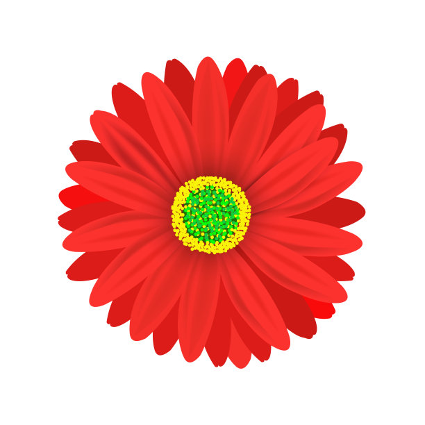 菊花logo