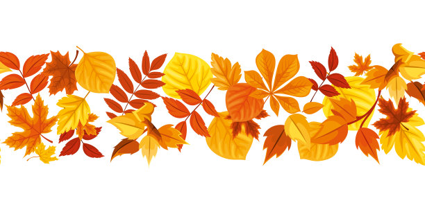 多彩枫叶无缝图案矢量背景