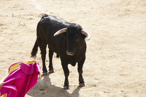 toro