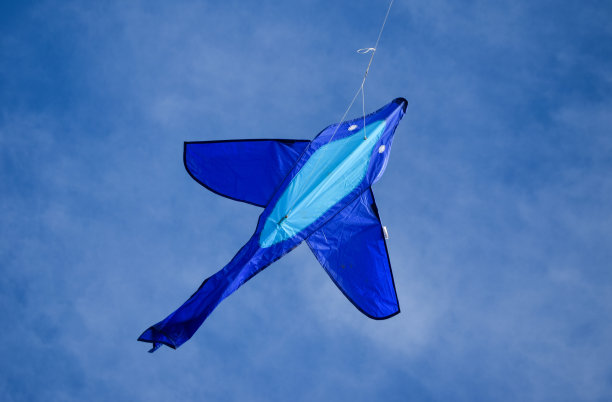 kite