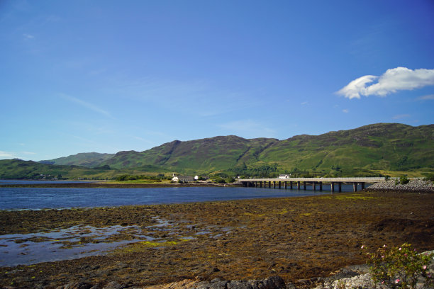 donan