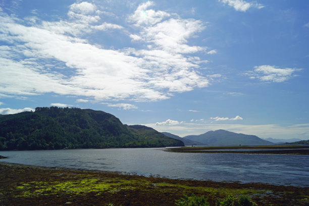 donan
