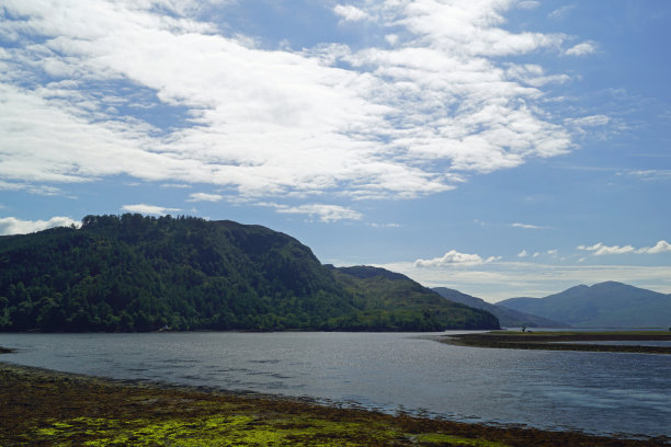 donan