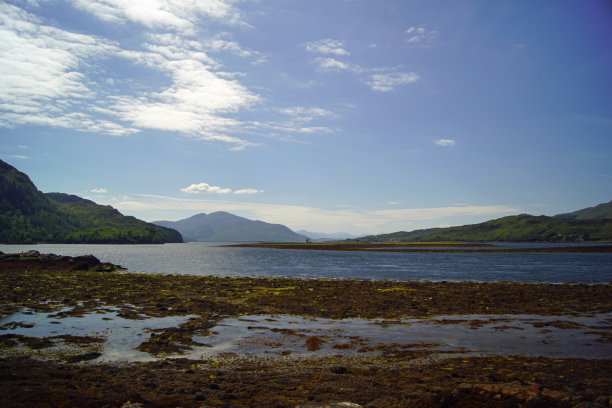 donan