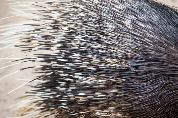 spiked