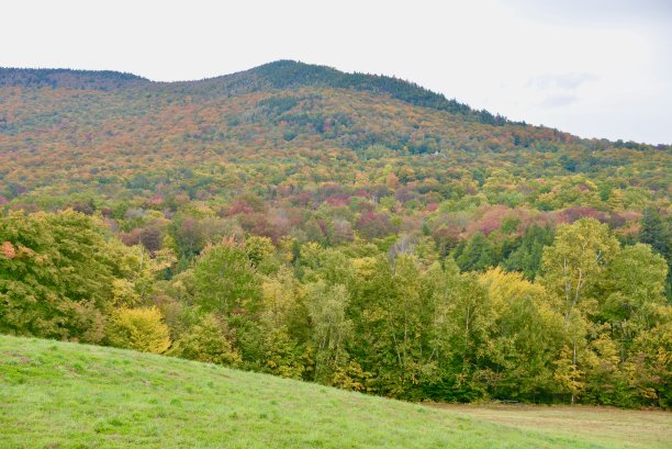 stowe