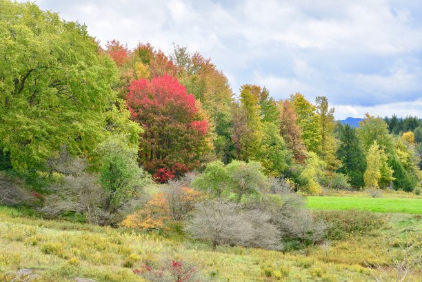 stowe