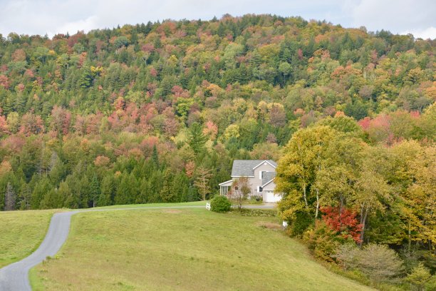 stowe