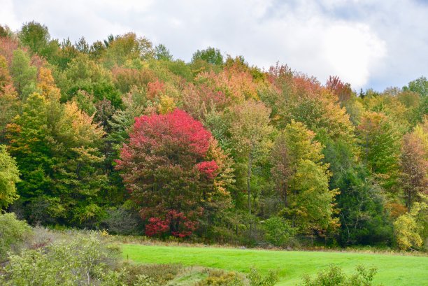 stowe