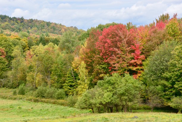 stowe