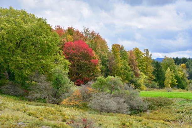 stowe