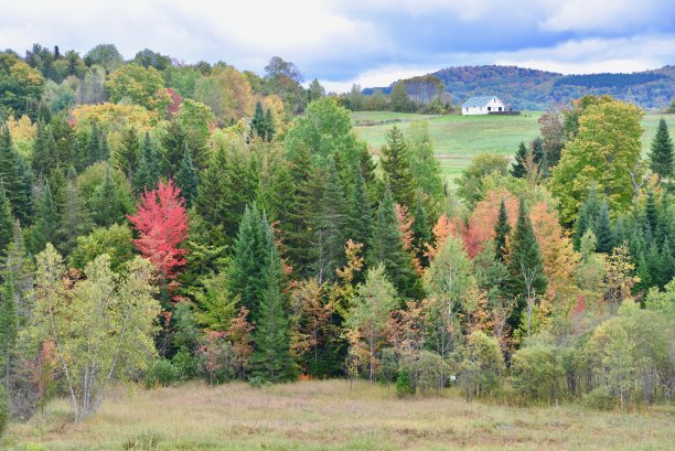 stowe