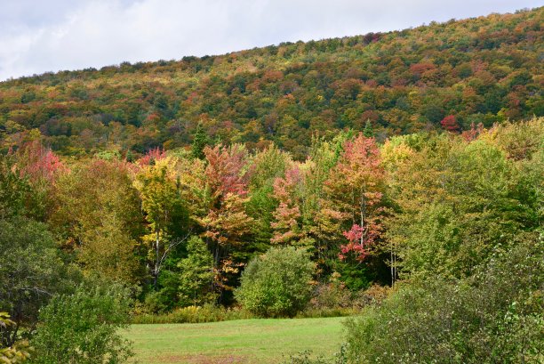 stowe