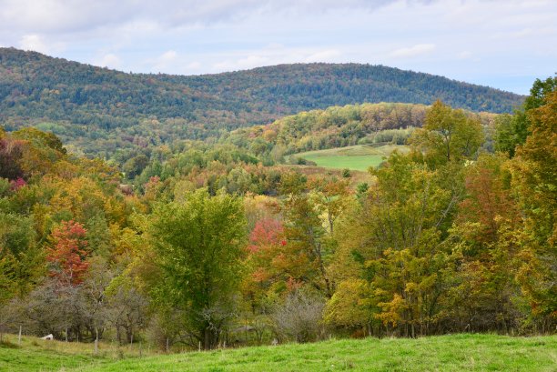 stowe