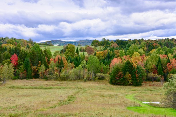 stowe
