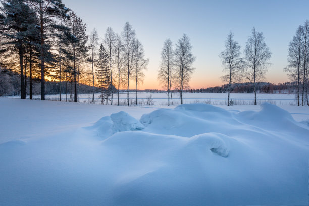 冬季芬兰北部白色的雪原与森林