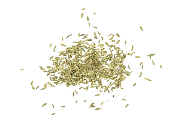 fennel