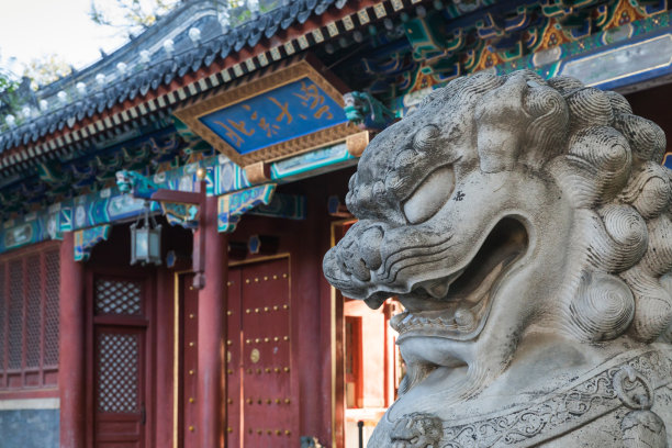 中国文明历史研究