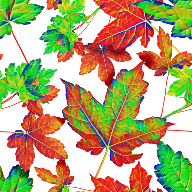 多彩秋季枫叶无缝图案
