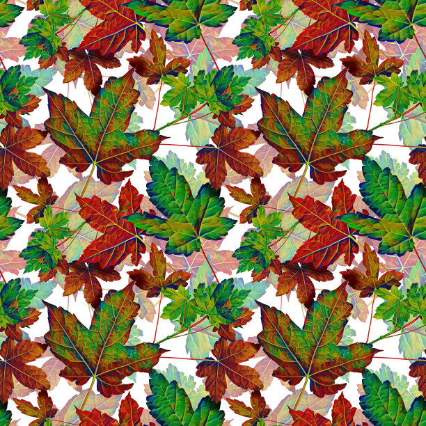 多彩秋季枫叶无缝图案