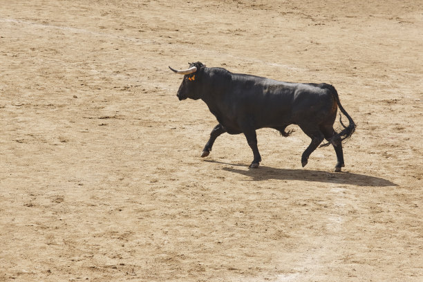 toro