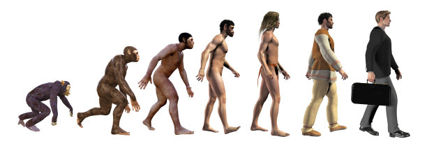 evolution