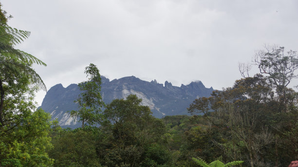 kalimantan