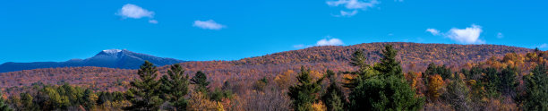 stowe