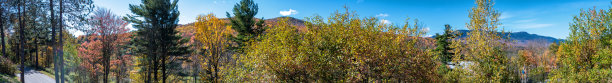stowe