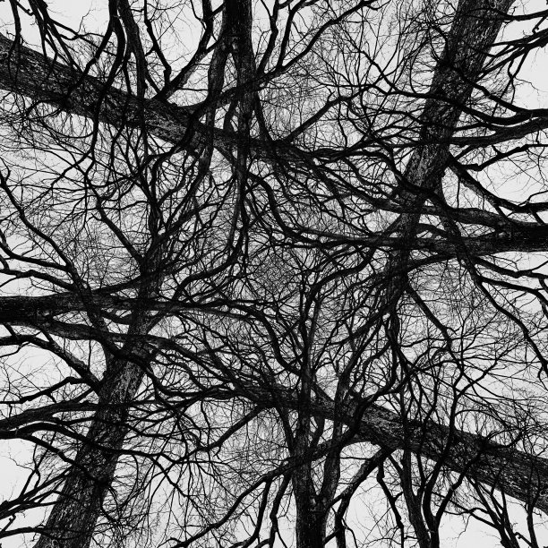 intricate